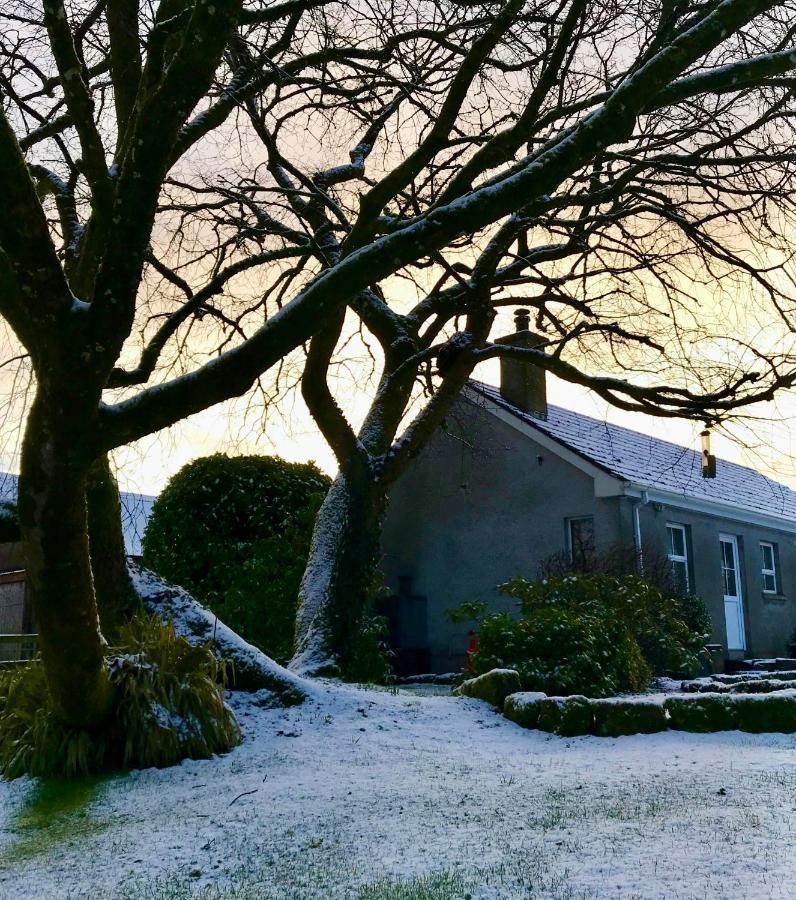 Elm Tree Cottage Fivemiletown Exterior photo